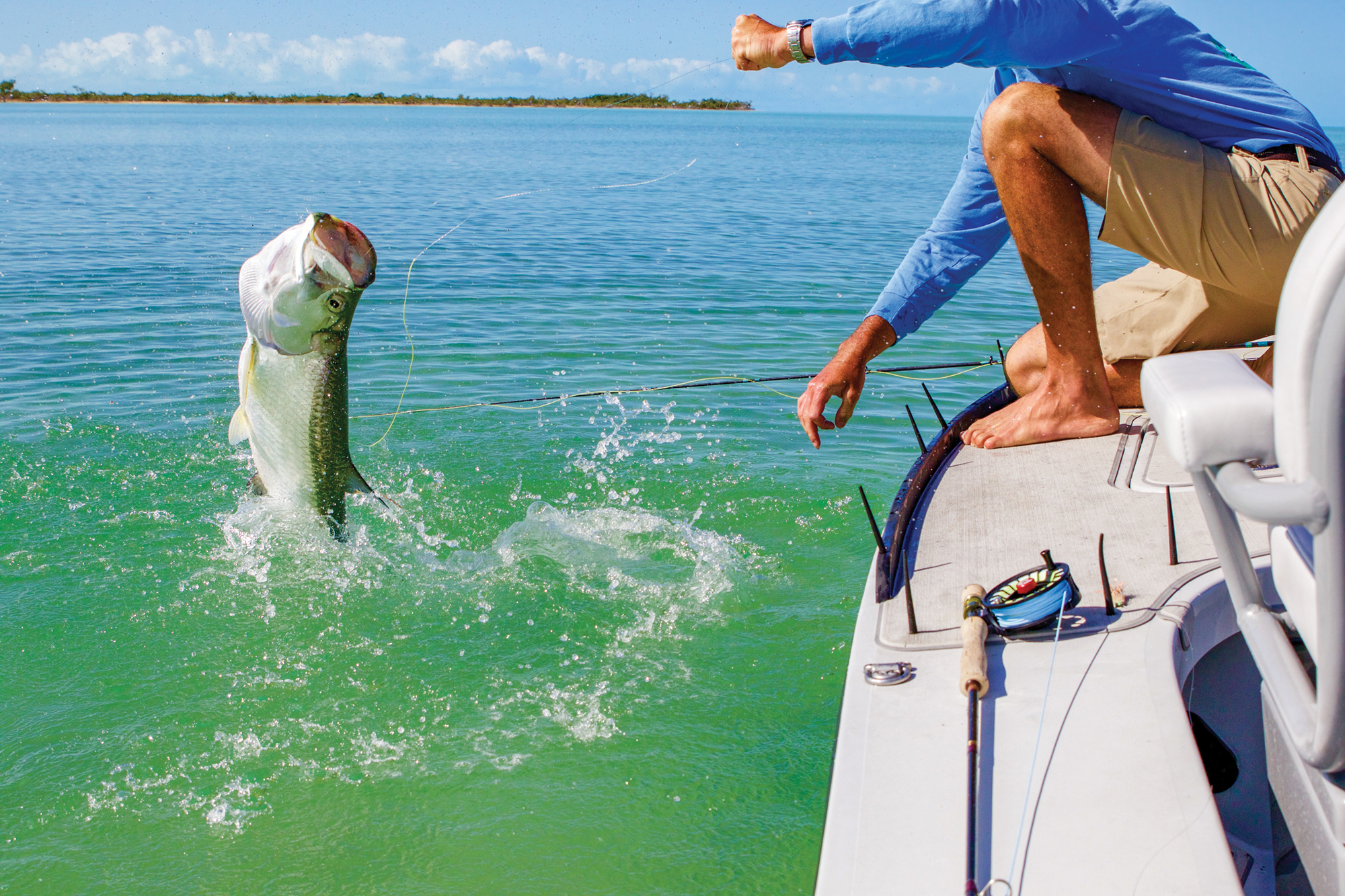 Lords of the Fly: Madness, Obsession, and the Hunt for the World-Record  Tarpon” - Virginia Sportsman