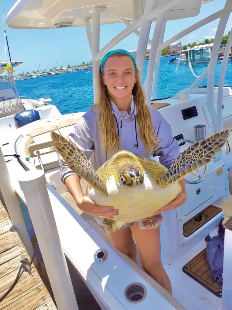 sea turtle rescued from ghost trap