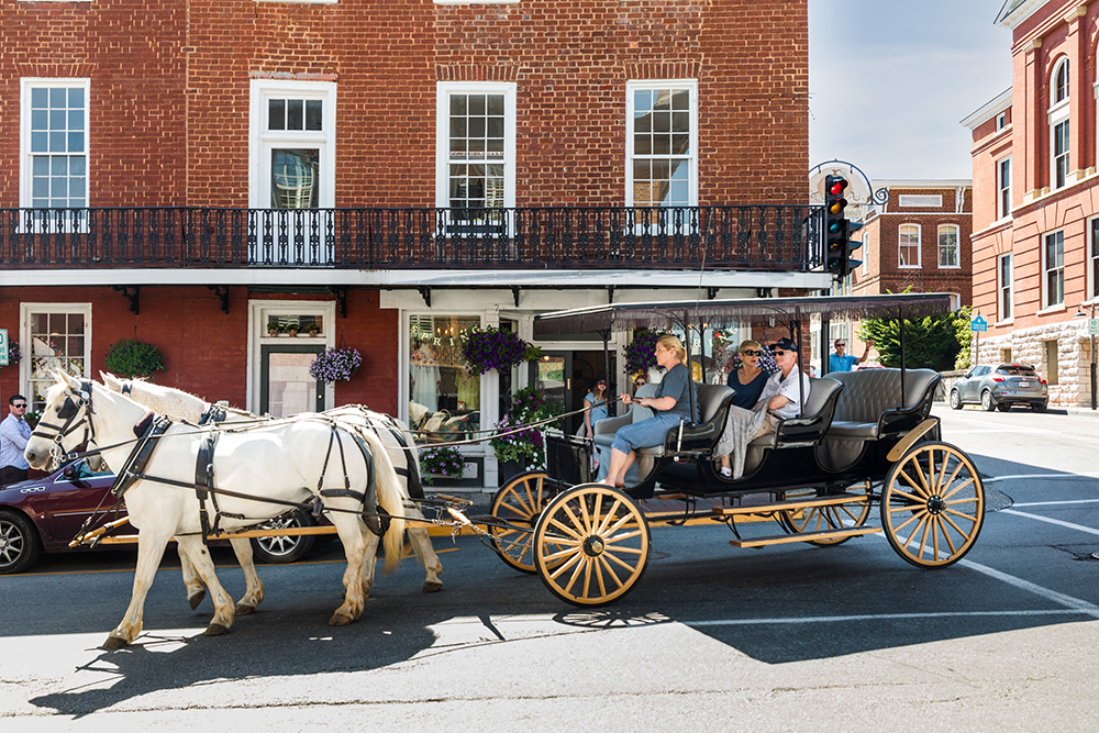 horse drawn carriage ride